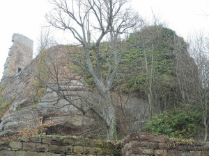 citadelle côté est avant 11.03.2016 (8)