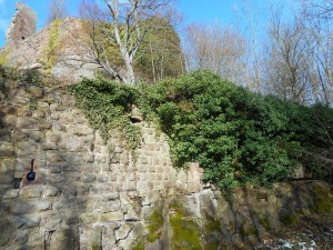 mur est 12.02.2016 (4) rogné